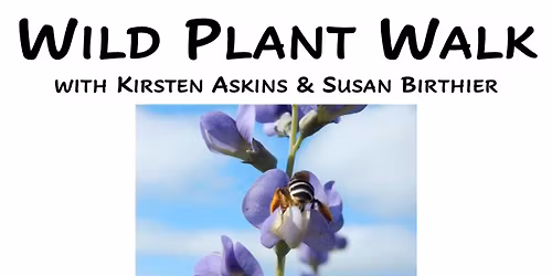 WILD PLANT WALK WITH KIRSTEN ASKINS AND SUSAN BIRTHIER