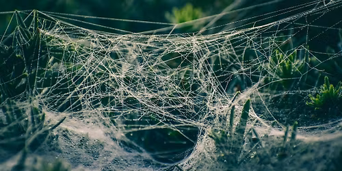 Ethics Study Day (Leyland): The Doctrine of Concupiscence