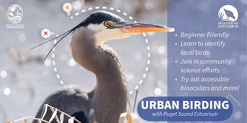 Urban Birding: Downtown Tour