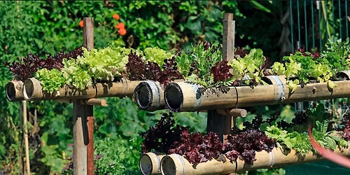 Hva\u00f0 \u00e6ttum vi\u00f0 a\u00f0 r\u00e6kta \u00e1 b\u00f3kasafninu? \/\/ What should we grow in the library?