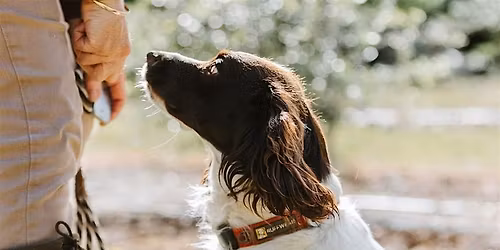 Ashridge Truffle Farm \u2013 Truffle Hunt & Tasting