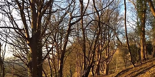 Heavens Valley Work Days for volunteers