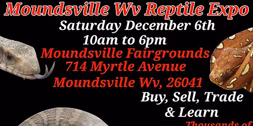 Moundsville Wv Reptile Expo 