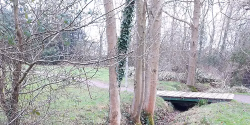 Wicks Green Seasonal Work Party