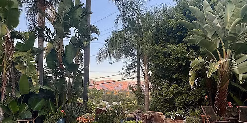 Night Sky Cinema- Private Outdoor Movie Night w\/ Mountain Views in Pasadena
