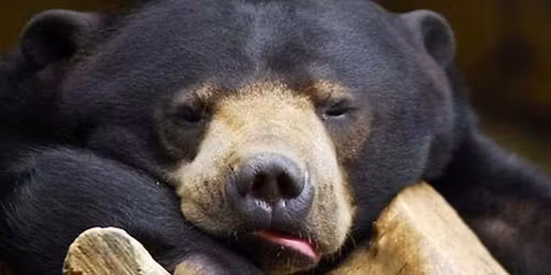 \u201eBieg Grani\u0105 Misia\u201d 2025 \u2013 edycja Bia\u0142y Mi\u015b