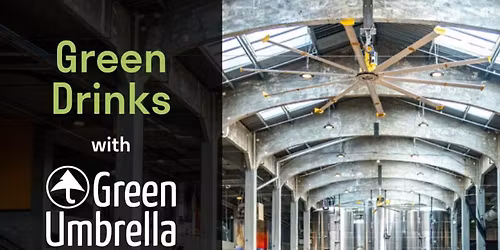 Green Drinks: Beer for Humans & Green Board Games