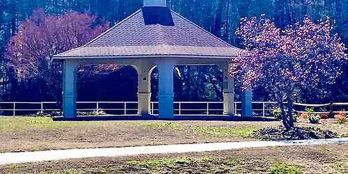 Lake Lure Arbor Day Program