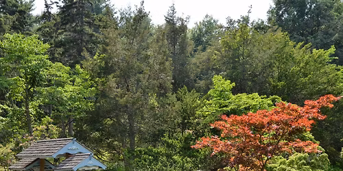 Wickham Park Tree Tour 