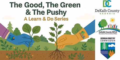 The Good, The Green & The PUSHY III!