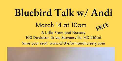 Bluebird Talk with Andi