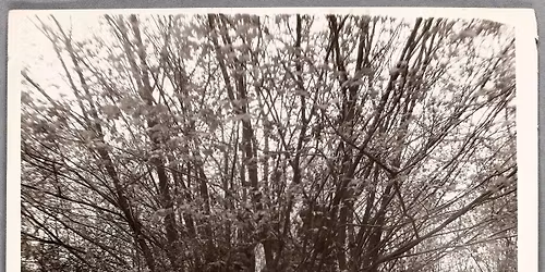 Unsolved Murders of WWII part 1