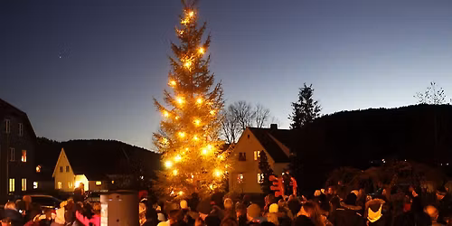 Julegrantenning i Haugenparken