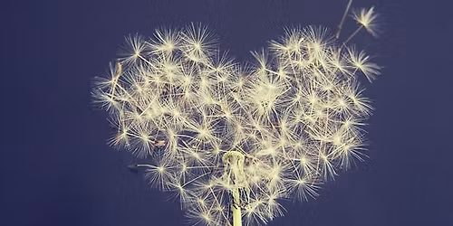 Access Bars workshop