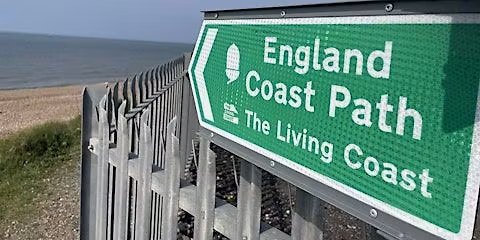 Spring guided foraging ID walk with a focus on  coastal plants