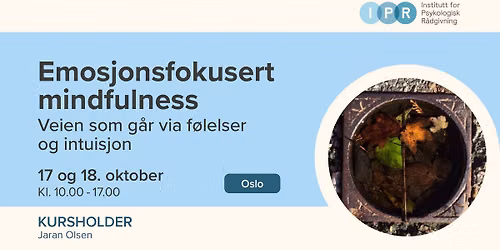 Helgekurs i Emosjonsfokusert mindfulness - Modul 2