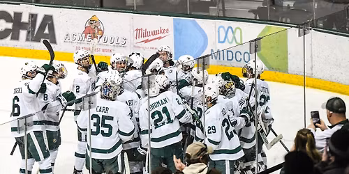 Ferris State Bulldogs at Bemidji State Beavers Mens Hockey at The Sanford Center