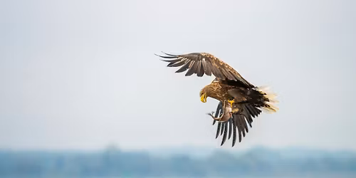 \u0412\u043e\u0439\u0432\u043e\u0434\u0438\u043d\u0430: \u043f\u0440\u0438\u0440\u043e\u0434\u0430, \u0438\u0441\u0442\u043e\u0440\u0438\u044f \u0438 \u0442\u0440\u0430\u0434\u0438\u0446\u0438\u0438