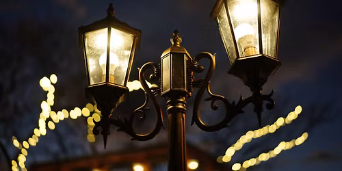 Holiday Wagon rides through Old Mesilla & Mesilla Park! 2-dates