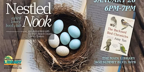 The Nestled Nook: The Backyard Bird Chronicles