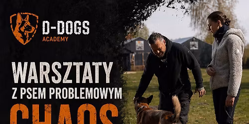 Warsztaty dla ps\u00f3w problemowych 