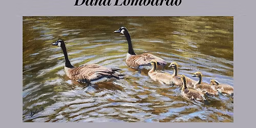 Experimenting with Light and Color with Dana Lombardo