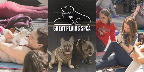 Puppy Yoga with Great Plains SPCA at The Fontaine Hotel