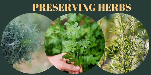 Growing, Cooking, and Preserving Herbs