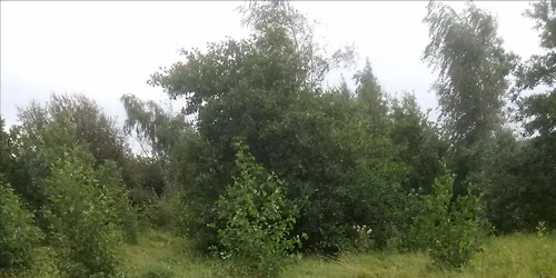 Watergate Nature Club