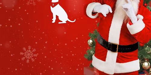 Santa & Mrs. Claus Photos in the Festive Backyard!