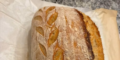 Beginning Sourdough