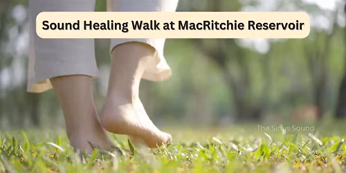 Sound Healing Nature walk at MacRitchie Reservoir