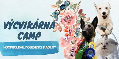 V\u00ddCVIK\u00c1RNA CAMP (hoopers, rally obedience, agility)