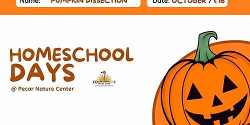 Homeschool Days - Pumpkin Dissection
