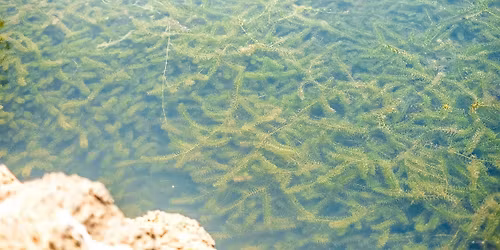 SFAPMS General Meeting