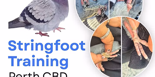 Stringfoot Training Perth