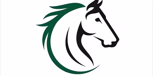 Capital City Charity Horse Show 