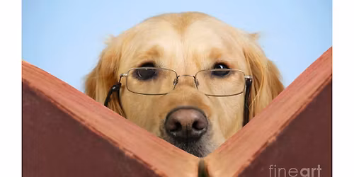 Tales for Tails! – Read to a Dog at the Library!