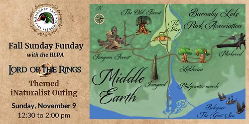 Fall Sunday Funday - Lord of the Rings Themed iNaturalist Nature Walk