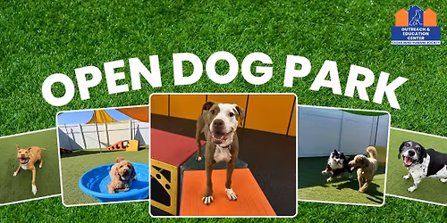 Open Dog Park