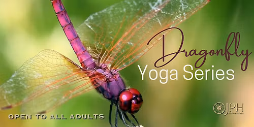 Dragonfly Yoga series