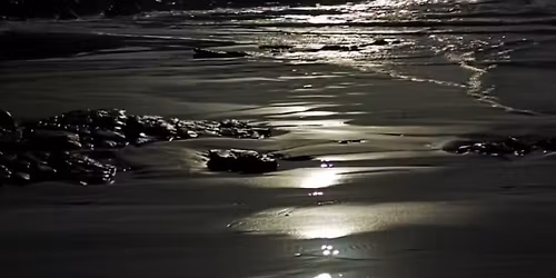 FULLMOON BEACH RUN \/ WALK