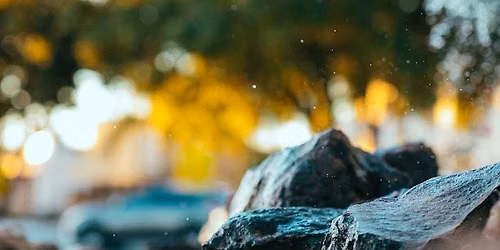 Shallow Depth of Field