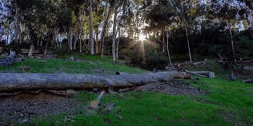 BWA SAN DIEGO: HOSP GROVE TRAIL WALK