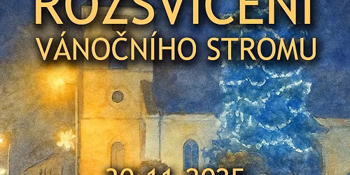 ROZSV\u00cdCEN\u00cd V\u00c1NO\u010cN\u00cdHO STROMU