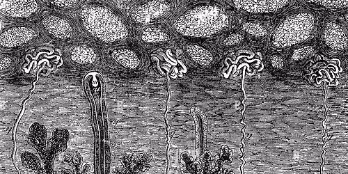 workshops int\u00e9rieurs chor\u00e9graphiques