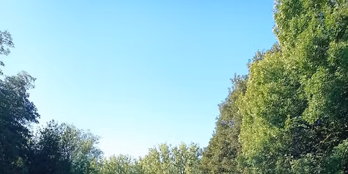 Wilde Stam - Weekend (7-13j)