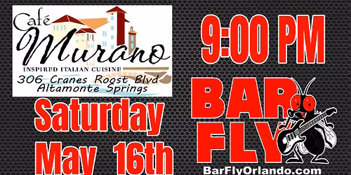 Bar Fly at Cafe Murano