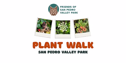 Plant Walk in San Pedro Valley Park - Moderate