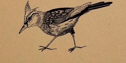 Spiritualit\u00e9s anarchistes : rencontre avec Sylvain Piron